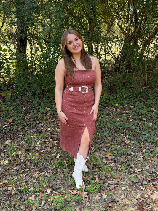 Wild Rose Rhinestone Dress